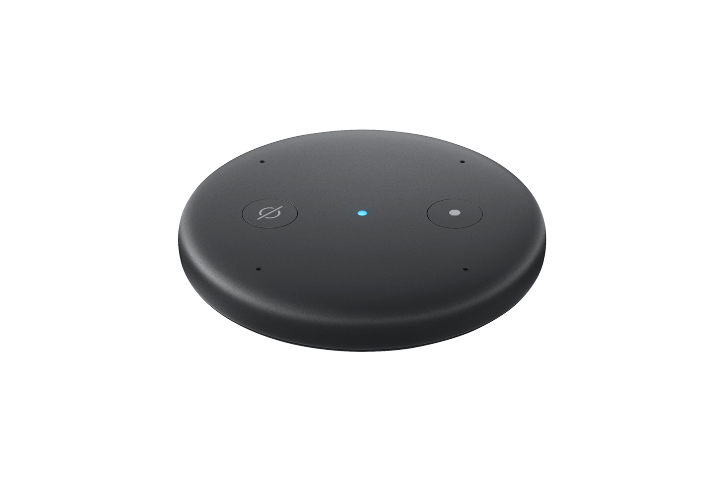 Amazon Echo Input