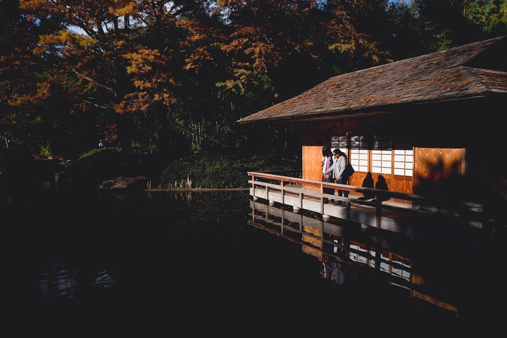 japanese garden